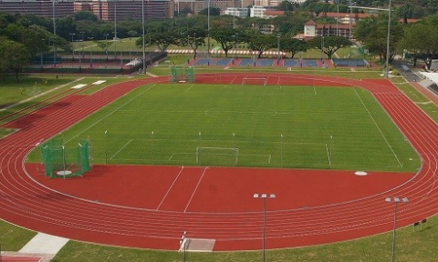 Sports Field