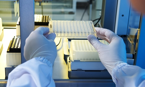 Research - SCELSE