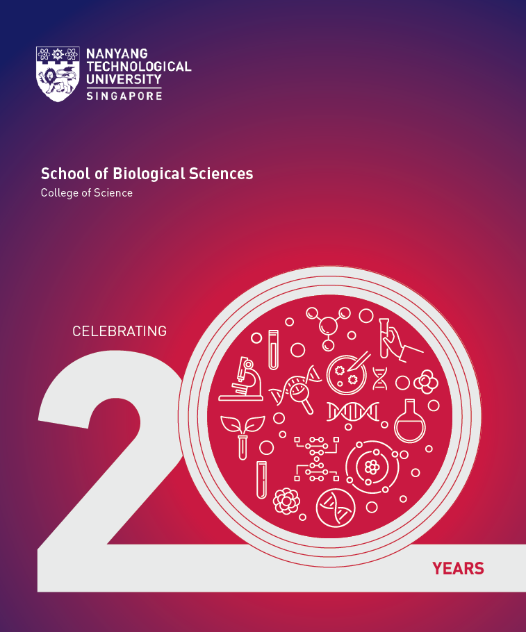 20th Anni Book Cover